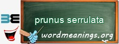 WordMeaning blackboard for prunus serrulata